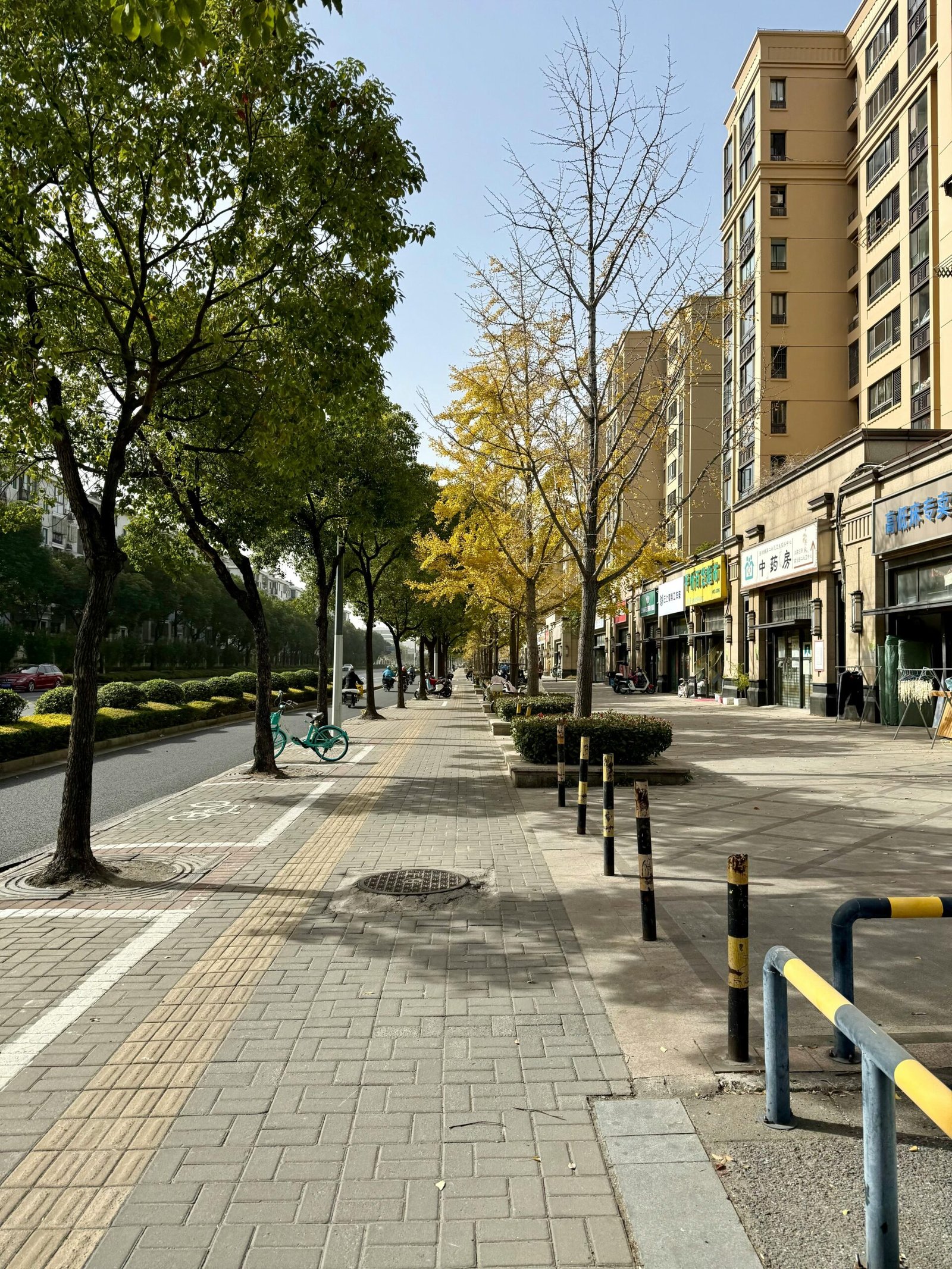 Oregon Insurance Contact